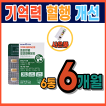 징코 뇌건강 기억력 인지력 은행잎 추출물 집중력 장애 저하 감퇴 기능 향상 개선 에좋은 식품 식약처 정맥순환개선 하지정맥 다리 혈액순환 피 맑게 하는 영양제 음식 약 1개월분, 6통, 30정
