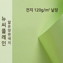 뉴씨플레인 종이문화 얇은 양면색지 120g 전지 낱장 1매 No.13 연연두색, 1장