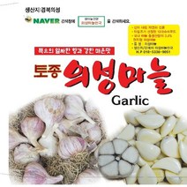 2023년도 마늘 통마늘 한지형 의성마늘 햇마늘 +10톨 덤, 1개, 대품 3kg 약 70~80개