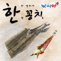 한치낚시 생미끼 한꽁치 학꽁치포 한치미끼 삼봉에기 갑오징어 무늬오징어 메탈 오모리