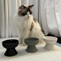 가성비 좋은 고양이밥그릇식기세라믹 중 알뜰하게 구매할 수 있는 추천 상품