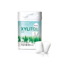 자일리톨 무설탕 추잉껌, 108g, 1통