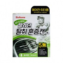 불스원에어컨항균캔(숲속) 차량 탈취제