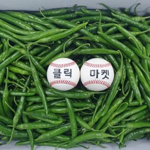 클릭마켓 국내산 청양고추, 10kg x 1박스