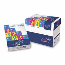 몬디 컬러레이저전용지(A3160g250매팩몬디), 단품