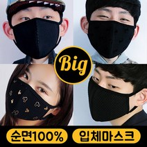 [가인시스템] [350종 국내생산]빅사이즈 마스크 빅 입체