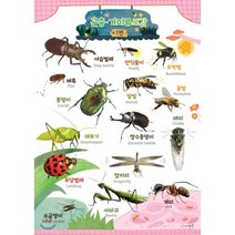 육아 곤충학습 TOP100으로 보는 인기 상품