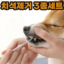 제거 강아지 이빨 고양이 스케일링 기 3종세트 셀프 러, 단품, 본상품선택
