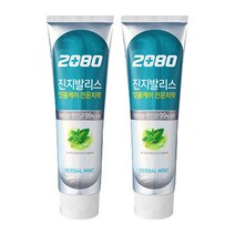 2080 진지발리스 허벌민트 치약 120g, 2개
