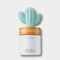 선인장 퍼퓸드 디퓨저 라운드어라운드 만세선인장 100ml 박스형 단품