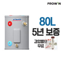 프로라인S 프로윈 법랑 전기온수기 80L 감압밸브 무료