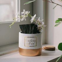 동양란 숯화분 화분 그린테리어, 블랙_추가안함