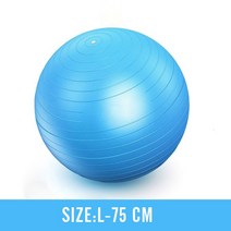 짐볼 보수볼 토닝볼 하프 토구 땅콩 남자 안티 버스트 운동 공 55cm-75cm 체육관 적합 공 전문 필라테스 요가 피트니스 균형 안정성 공 지원 2200lbs, 블루 55cm