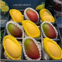 따봉프레시 3차선별 항공 망고 VIP선물세트 6종, 1호