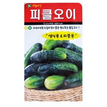 피클오이 씨앗 50립, 1개