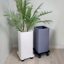 마이플랜트 사각 가로줄패턴 플라스틱 대형 화분, 화이트