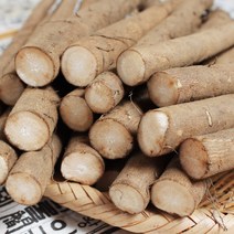 [푸르젠] 3대 전통 안동 우엉 (알뜰~가공품), 1개, 2kg (대상)
