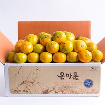 [옴마품]달콤새콤 햇노지감귤 4.5kg중소과(2S/S)