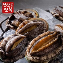 [참다올] [실속용] 청산도 전복 1kg( 9-10미), 상세 설명 참조