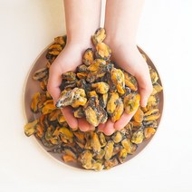 국산 자숙 홍합살 800g 깨끗하게 세척 후 삶아낸 자숙 홍합 제철 탕 냉동 담치 홍합요리 캠핑요리 캠핑음식 도시락반찬 아이반찬 간편조리 홍합파스타 홍합탕 국물용 구이용 찜용