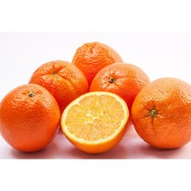 달달농산물 제주 서귀포 조생귤 로얄과 고당도 타이백 감귤 선물용 초특가 세일판매중 9kg~1.5kg, 제주감귤, 04.실속형 4.5kg