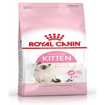 로얄캐닌 10kg 고양이 사료 브랜드전 [사은품증정] 건식사료, 키튼