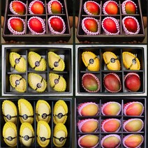 망고선물세트 2kg 3kg 4kg 애플망고 골드망고, 태국망고2kg 일반