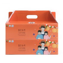 [KT알파쇼핑]젊은농부 도라지배즙 60포, 3000ml, 2개