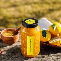 [초코써니 유자청] 에이드 홈 카페 수제청 과일청 500g 명절 설날 차 선물 세트 유자차 유자샐러드소스, 500g유자자몽청