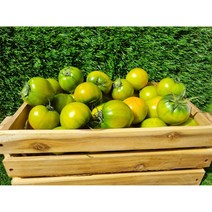 [고파남/당일발송] 부산 대저 짭짤이 토마토, 로얄과(S~3S) 2.5kg, 1개
