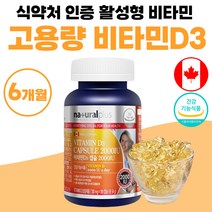 비타민D3 캡슐 2000iu 비타민디 캐나다 직수입 약 6개월분 대용량 고함량 비타디 비타민dd3 청소년 성인 써니디 썬디 비타민D 고용량 성인 청소년 부모님 선물 60대 50대
