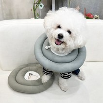 부잣집 막내딸 강아지 넥카라 1세트, 그린 + 그레이