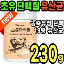 영양가득 초유 단백질 농축 유청 분말 가루 파우더 마시는 프로틴 쉐이크 mbp 뼈 건강 엔 유산균 성장기 어린이 청소년 여성 남성 50대 60대 70대 선식 간식 저분자 식물성, 1통(230g)
