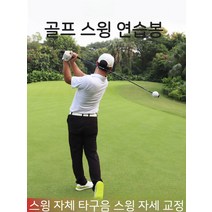골프스윙연습기 연습 얼라이먼트스틱 골프 자세교정기, 01. 1.23m 롱 1호 나무길이 블루
