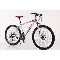입문용 MTB 산악 29 인치 산악자전거 충격 흡수 로드 바이크 성인용 변속, 01 1_01 29 inches -19 inches