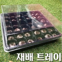 조이가든 씨앗재배 트레이세트, 단품없음