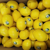 신선한 정품 팬시레몬 (개당 중량 120g내외) 1.5kg 3kg 5kg 10kg, 팬시 레몬 3kg(약 23~27과)