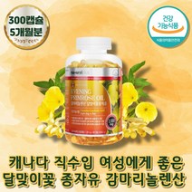 감마리놀렌산 달맞이유 대용량 건강기능식품 혈행개선 캐나다산 혈중 콜레스테롤 월경 전 후 면역 과민 반응 영양제 비타민E 알파 토코페롤 피부 오일 종자유 evening primrose oil