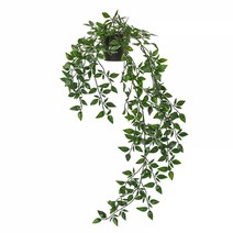 이케아 FEJKA 페이카 인조식물 실내외겸용 걸이형 9cm 403.495.45