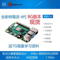 스팟 라즈베리 파이 4세대 8G 4b 개발 보드 리눅스 키트 4G, 겉치장_2G