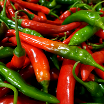새벽들 국내산 매운 청양고추 (반홍) ( 500g 1kg ), 청양(반홍) 1kg, 1개