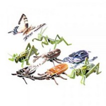 곤충 8종 종이 모형만들기, 색상, 퍼즐/블럭 조각 수