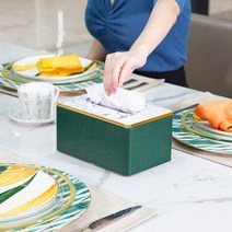 심플 모던 냅킨 휴지 수납 박스, 짙은 녹색 로마 기둥 - 흰색 대리석 성직자