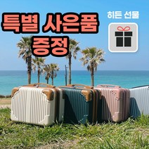 승무원 기내용 캐리어 서머 레디백 14인치 16인치 샤오미 x 스타벅스 x