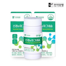 한미양행 활력에너지 신경엔 마그네슘 1000mg 90정, 2박스(180정)6개월분
