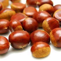 21년 햇밤 달고 맛있는 속이 꽉찬 공주 정안밤 알밤 생밤 밤, 1box, 대-6kg