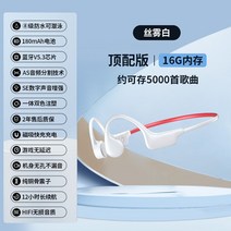 가성비 골전도 이어폰 이어셋 블루투스 무선 핸즈프리 귀걸이형 오픈형 방수, 정부표준배치, 옵션3