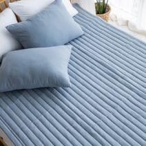 라지킹 모달 침대패드 패밀리 알러지케어 사계절 항균 마이크로화이바 침대 매트리스 패드 카페트, 블루