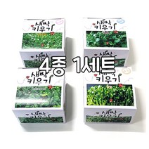 프랜즈 1500 새싹 키우기 브로콜리/무순 등 4종1세트