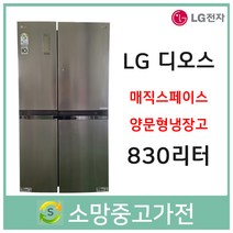 LG 디오스 매직스페이스 양문형냉장고 830리터 R-S834PBSS